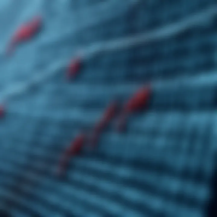 Graphic illustrating the concept of binary search on a sorted array with pointers converging