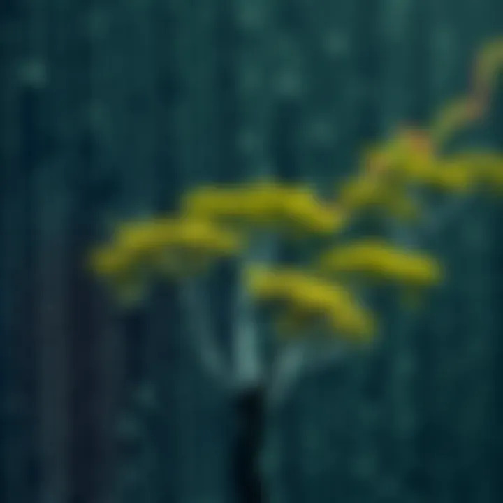 Visual representation of maximum depth calculation in a binary tree using recursion