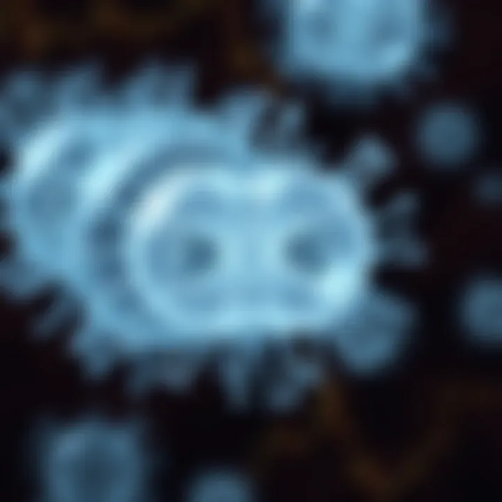 Bacterial Cell Division through Binary Fission Diagram illustrating a bacterial cell dividing into two identical daughter cells