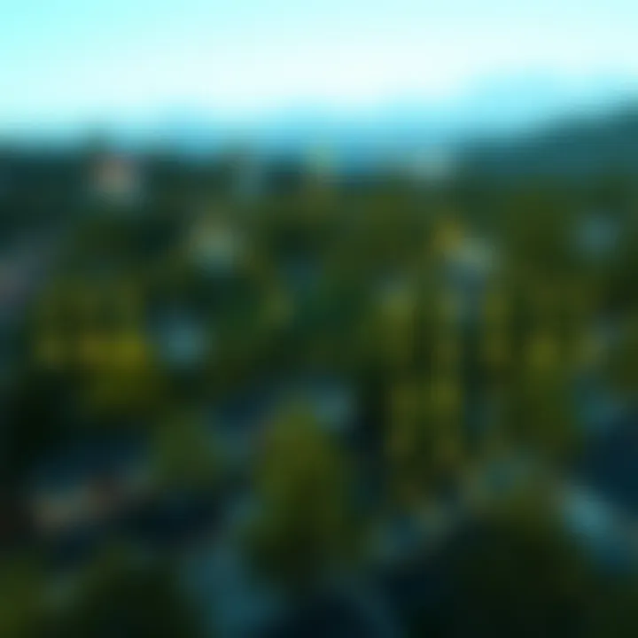 Understanding Level Order Traversal in Binary Trees