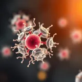 Diagram showing single microorganism dividing into two identical cells through binary fission